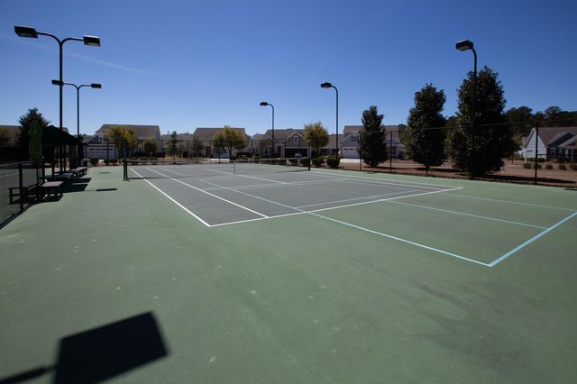 126 Citrea Drive, Summerville, SC 29483