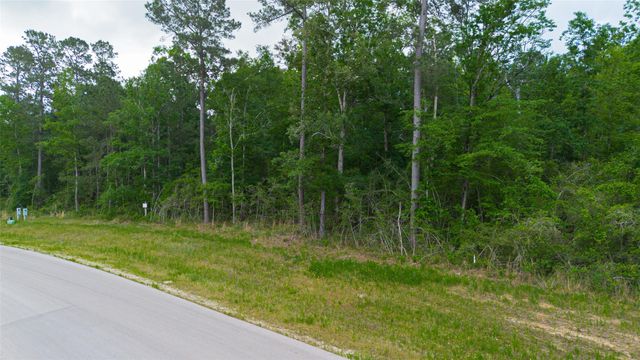 186 Exploration Road, New Waverly, TX 77358