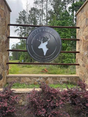 186 Exploration Road, New Waverly, TX 77358