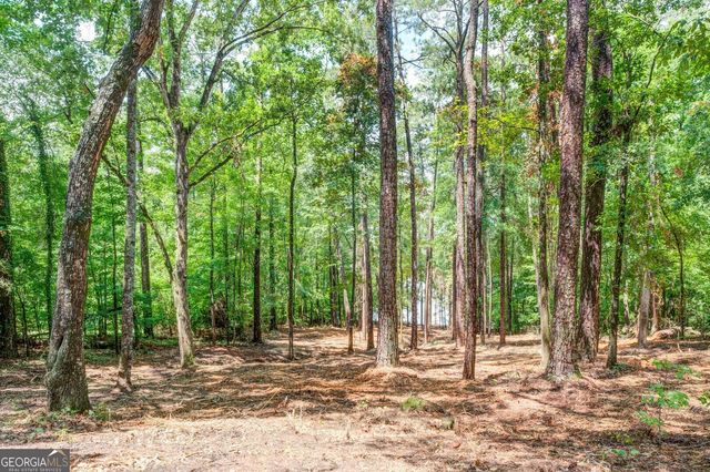 0 Goldfinch Drive LOT 115, Monticello, GA 31064