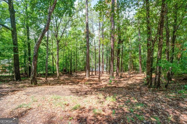 0 Goldfinch Drive LOT 115, Monticello, GA 31064