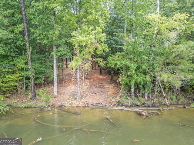 0 Goldfinch Drive LOT 115, Monticello, GA 31064