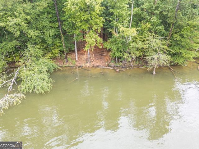 0 Goldfinch Drive LOT 115, Monticello, GA 31064