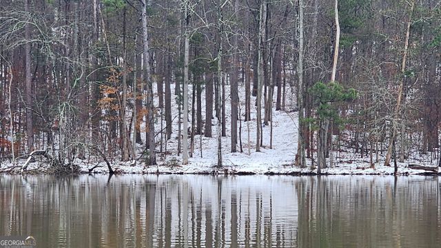 0 Goldfinch Drive LOT 115, Monticello, GA 31064