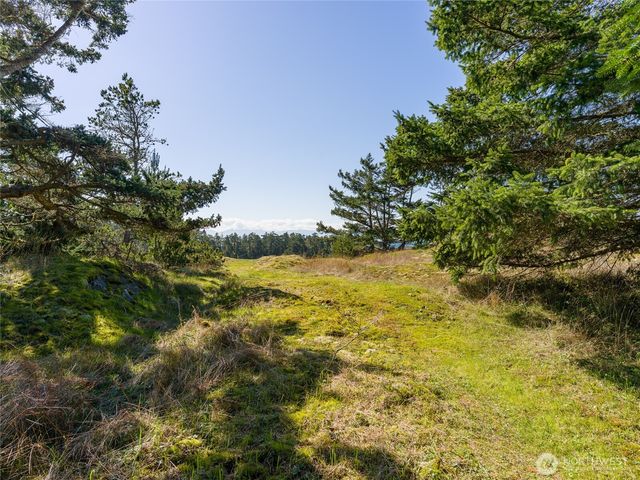 0 Caldwell, Lopez Island, WA 98261