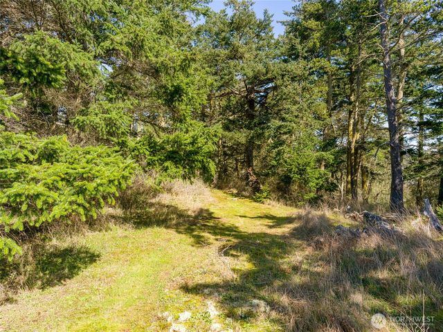 0 Caldwell, Lopez Island, WA 98261