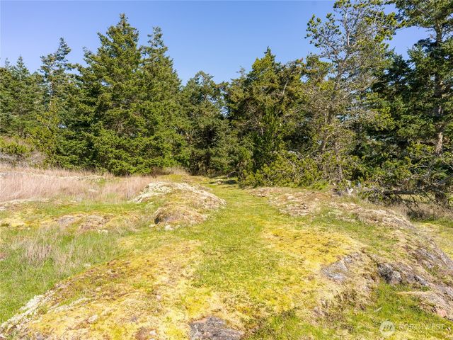 0 Caldwell, Lopez Island, WA 98261