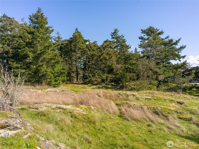 0 Caldwell, Lopez Island, WA 98261
