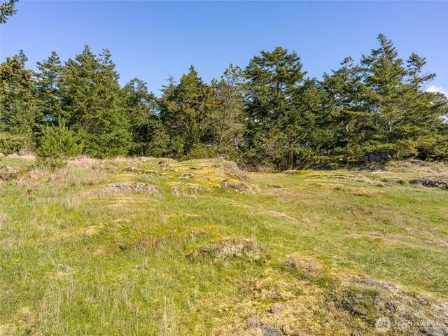 0 Caldwell, Lopez Island, WA 98261