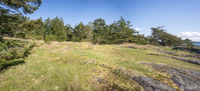 0 Caldwell, Lopez Island, WA 98261