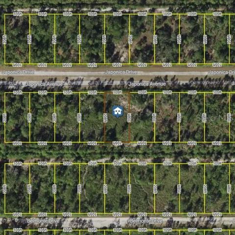 1015 JAPONICA AVENUE, Indian Lake Estates, FL 33855