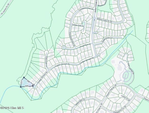 3826 Timber Stream Drive, Southport, NC 28461