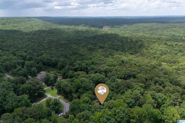 2174 ROCK MOUNTAIN LAKE DRIVE, Mccalla, AL 35111