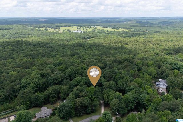 2174 ROCK MOUNTAIN LAKE DRIVE, Mccalla, AL 35111