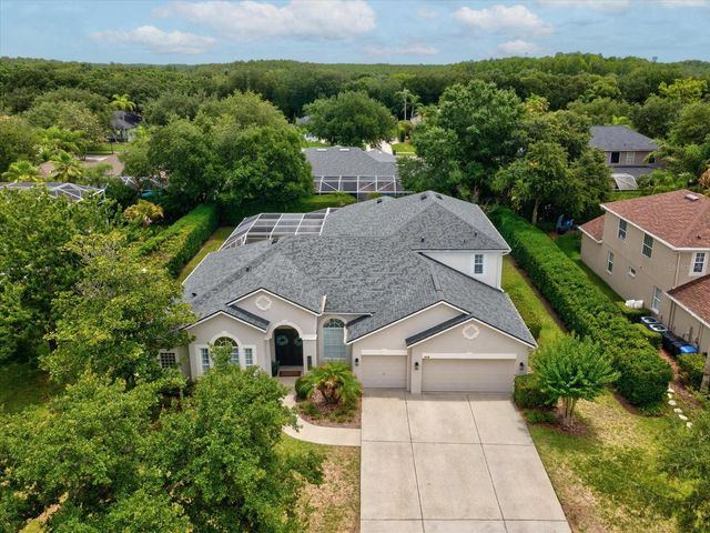 19119 LARCHMONT DRIVE, Odessa, FL 33556
