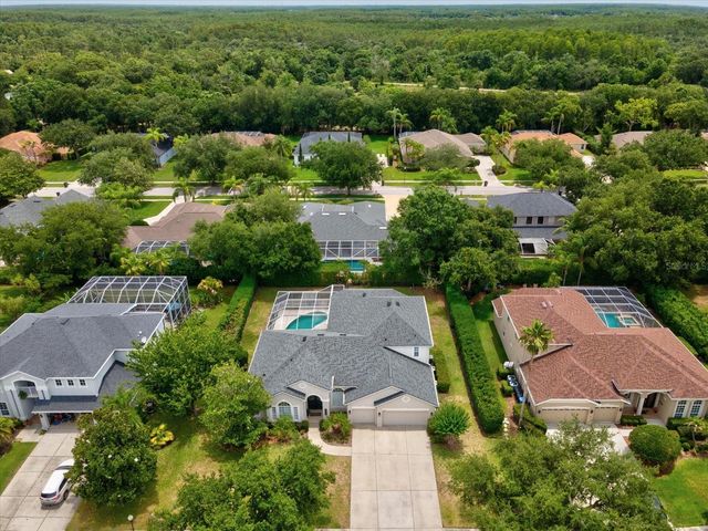 19119 LARCHMONT DRIVE, Odessa, FL 33556