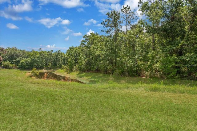 6012 KITERIDGE DRIVE, Lithia, FL 33547
