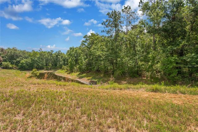 6012 KITERIDGE DRIVE, Lithia, FL 33547