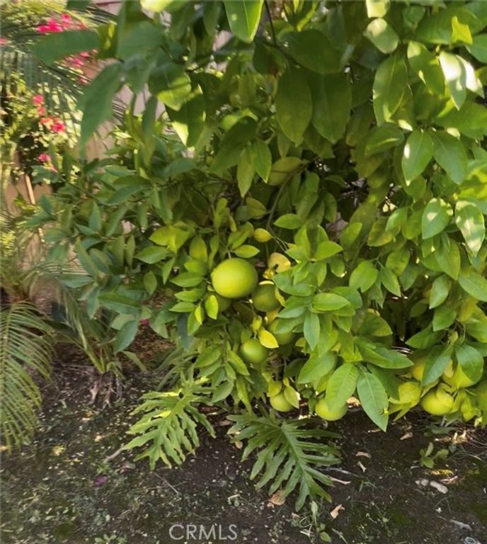 3230 E Drycreek, West Covina, CA 91791