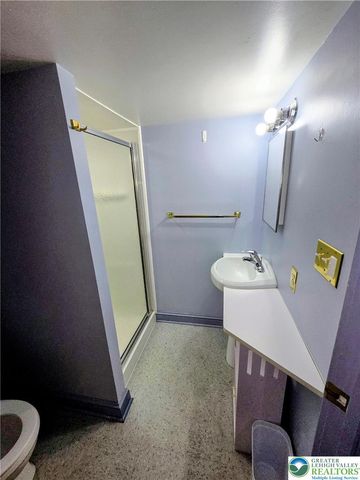 1005 Seneca Street, Fountain Hill Boro, PA 18015