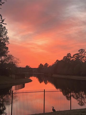 50 Cove View Trail Court, Spring, TX 77389