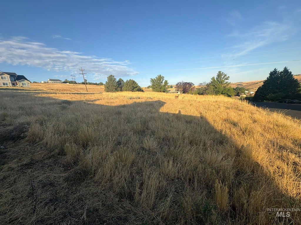 2705 9th Ave (Lot 50 Dove Replat), Clarkston, WA 99403