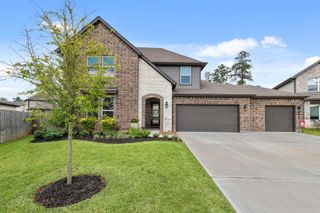10009 Gray Jay Court, Conroe, TX 77384