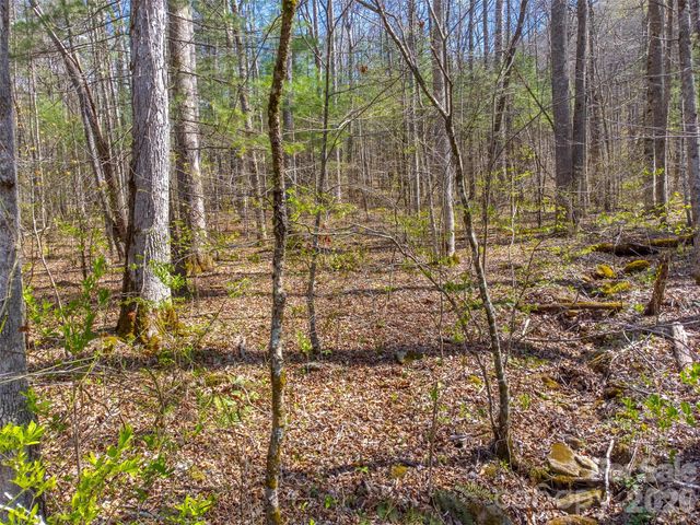 306 Cedar Creek Farm Road, Tuckasegee, NC 28783