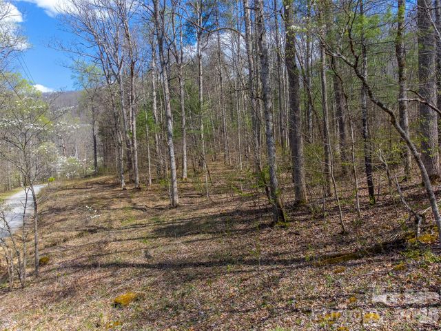 306 Cedar Creek Farm Road, Tuckasegee, NC 28783