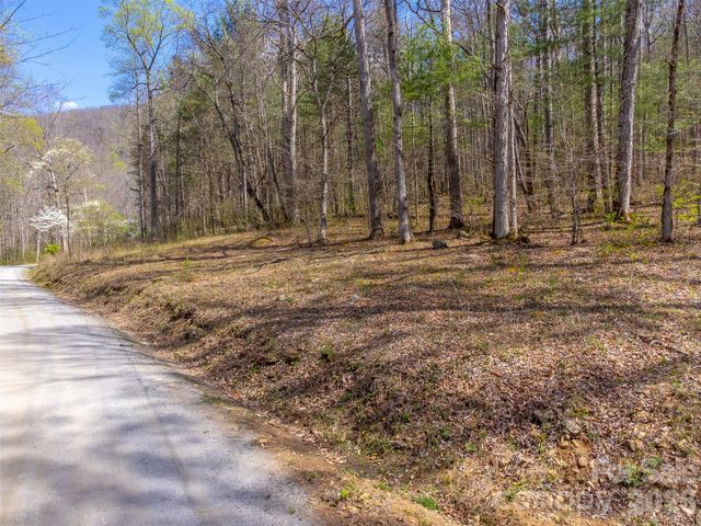 306 Cedar Creek Farm Road, Tuckasegee, NC 28783