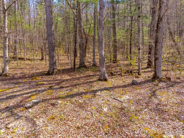 306 Cedar Creek Farm Road, Tuckasegee, NC 28783