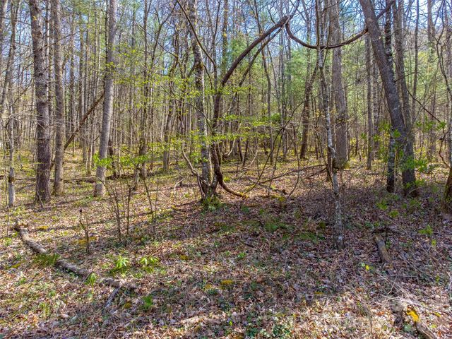 306 Cedar Creek Farm Road, Tuckasegee, NC 28783