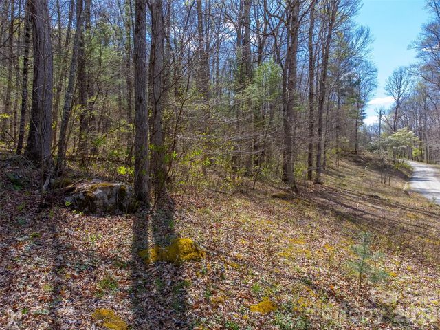306 Cedar Creek Farm Road, Tuckasegee, NC 28783