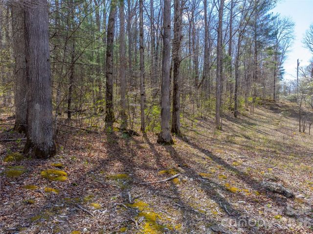 306 Cedar Creek Farm Road, Tuckasegee, NC 28783