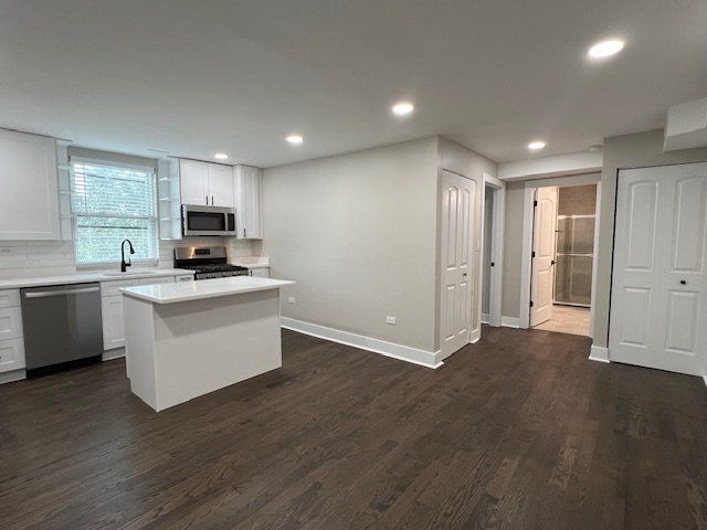 1957 W 23rd Street 3R, Chicago, IL 60608