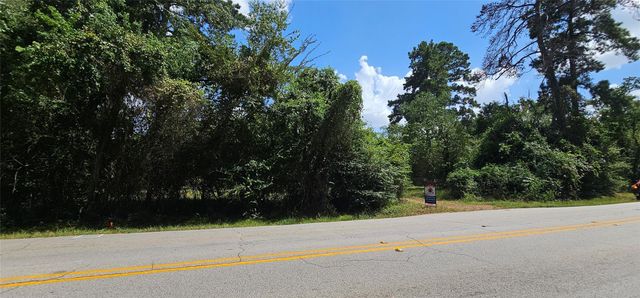 14019 Stagecoach Road, Stagecoach, TX 77355