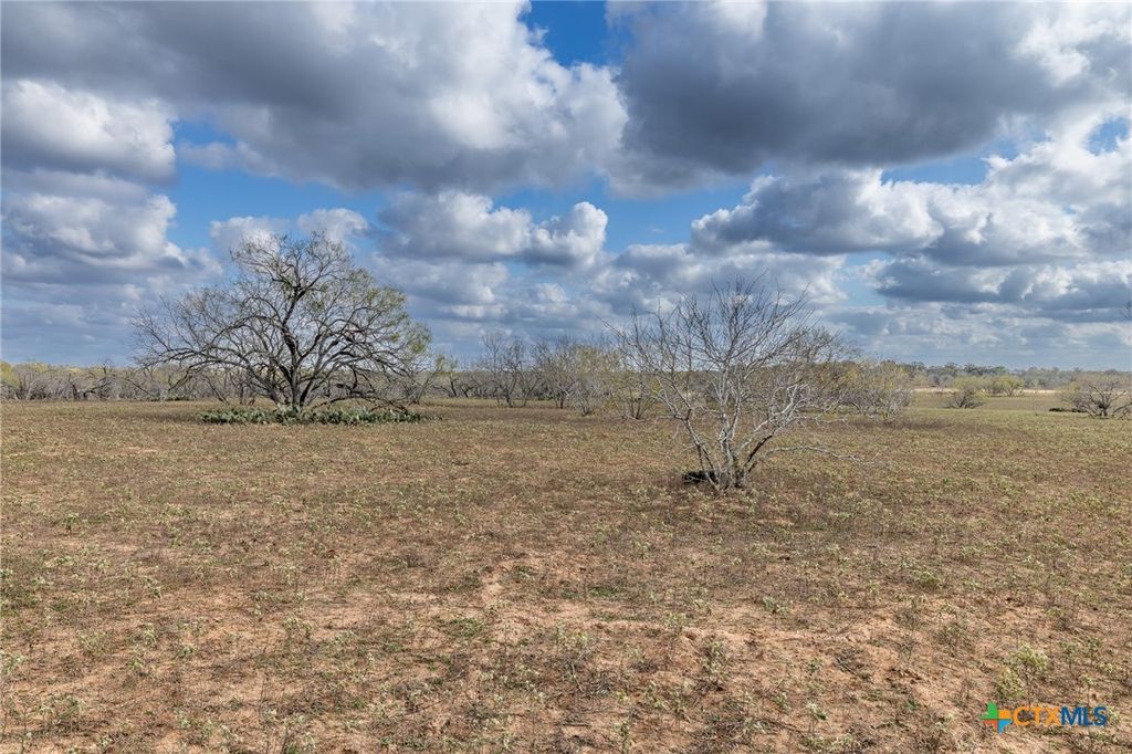 Image 10 of property listing at TBD County Road 113, Nixon, TX 78140