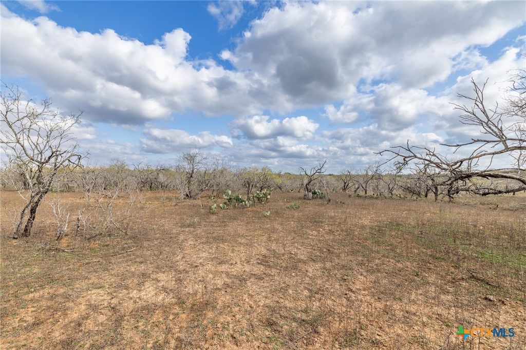 Image 12 of property listing at TBD County Road 113, Nixon, TX 78140