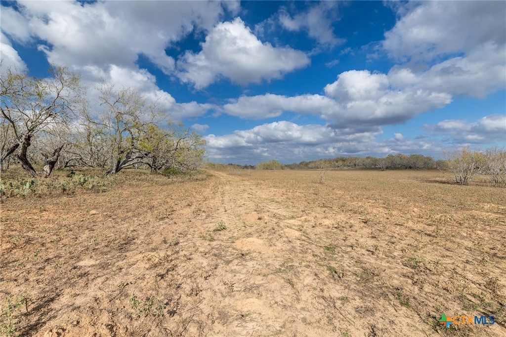Image 13 of property listing at TBD County Road 113, Nixon, TX 78140