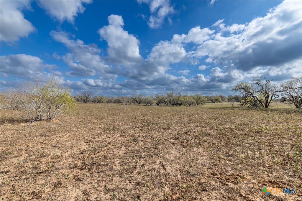 Image 14 of property listing at TBD County Road 113, Nixon, TX 78140