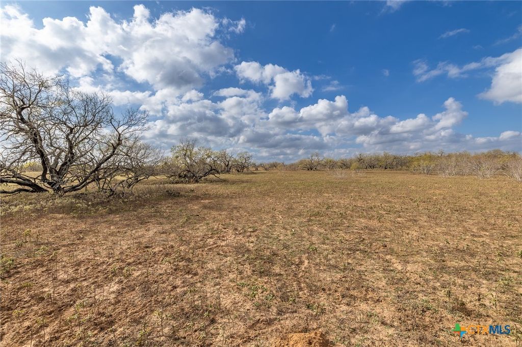 Image 15 of property listing at TBD County Road 113, Nixon, TX 78140