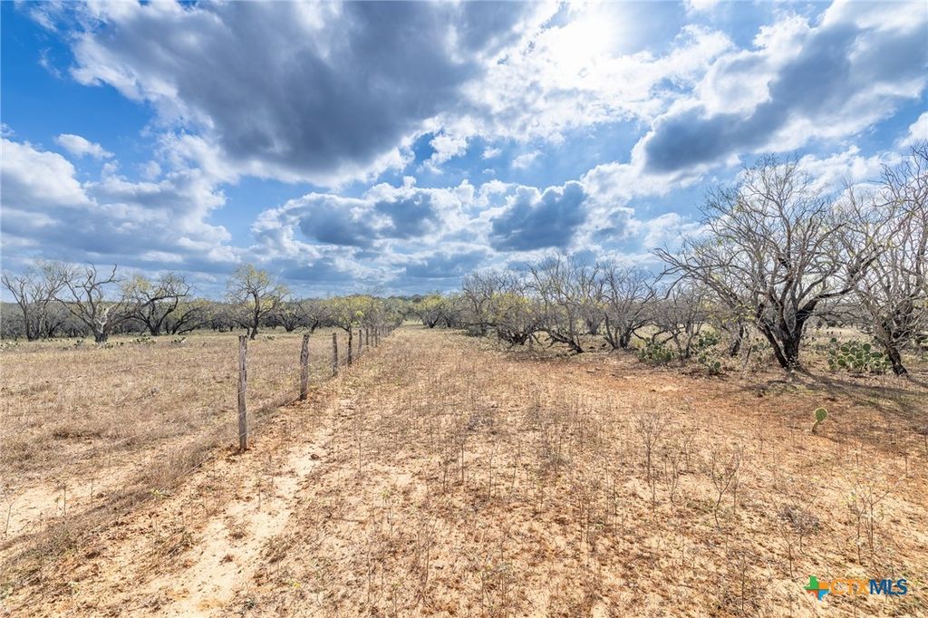 Image 16 of property listing at TBD County Road 113, Nixon, TX 78140