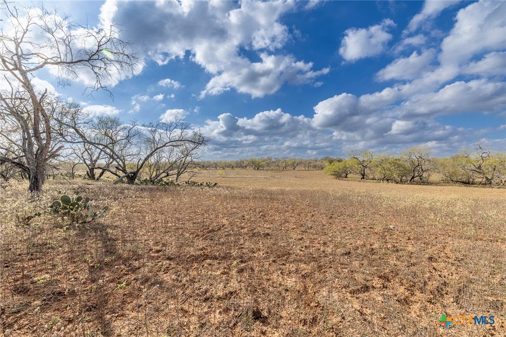 Image 17 of property listing at TBD County Road 113, Nixon, TX 78140