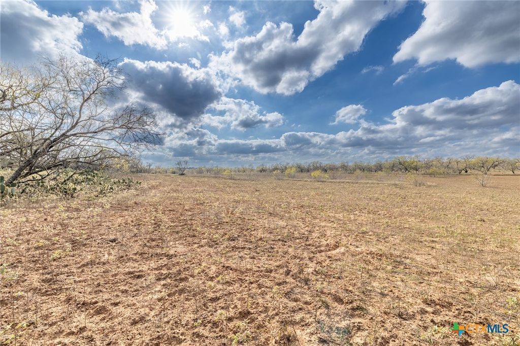 Image 18 of property listing at TBD County Road 113, Nixon, TX 78140