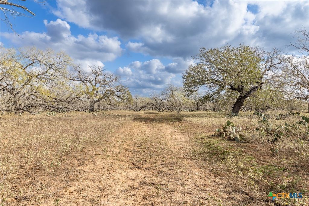 Image 2 of property listing at TBD County Road 113, Nixon, TX 78140