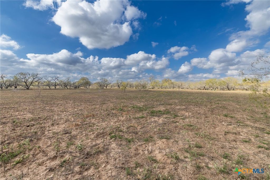 Image 19 of property listing at TBD County Road 113, Nixon, TX 78140
