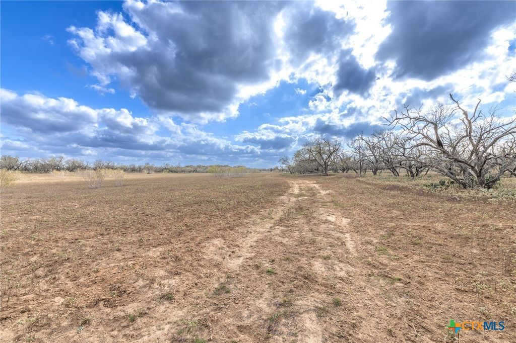 Image 20 of property listing at TBD County Road 113, Nixon, TX 78140