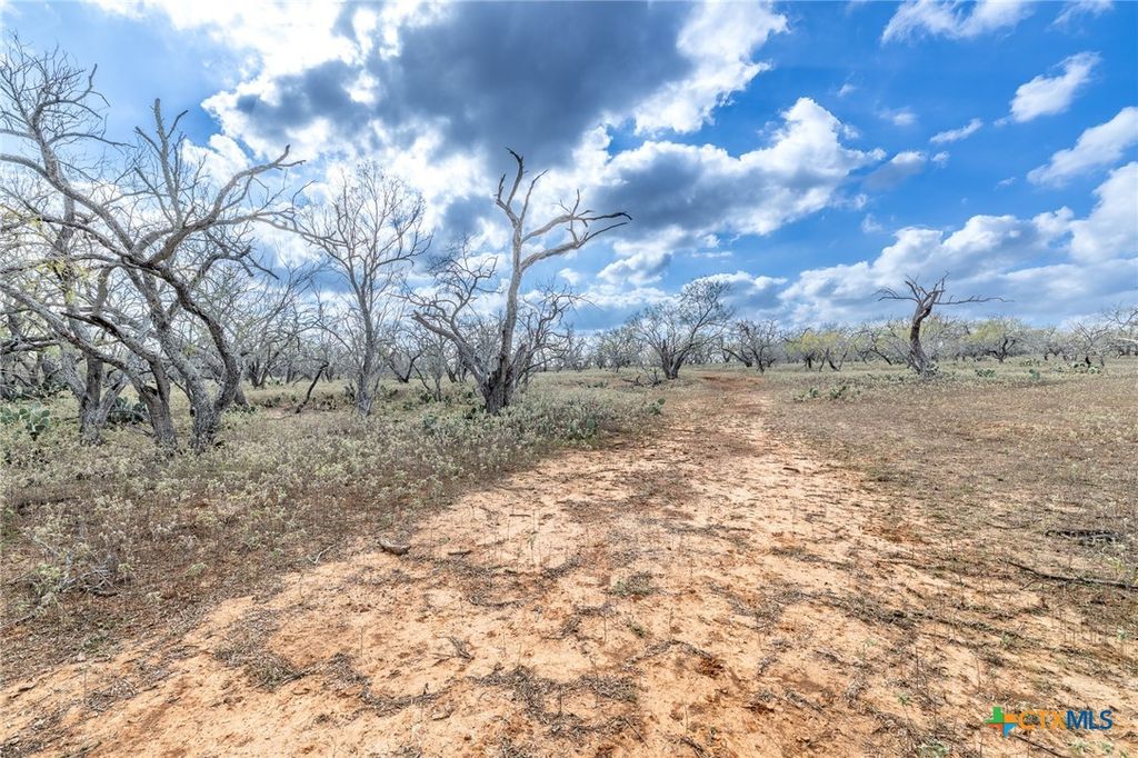 Image 22 of property listing at TBD County Road 113, Nixon, TX 78140