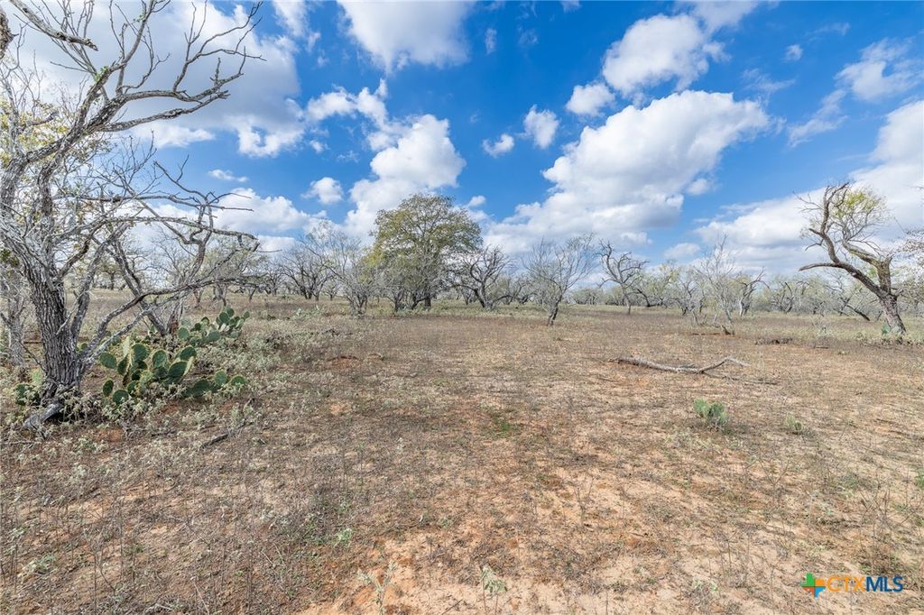 Image 23 of property listing at TBD County Road 113, Nixon, TX 78140