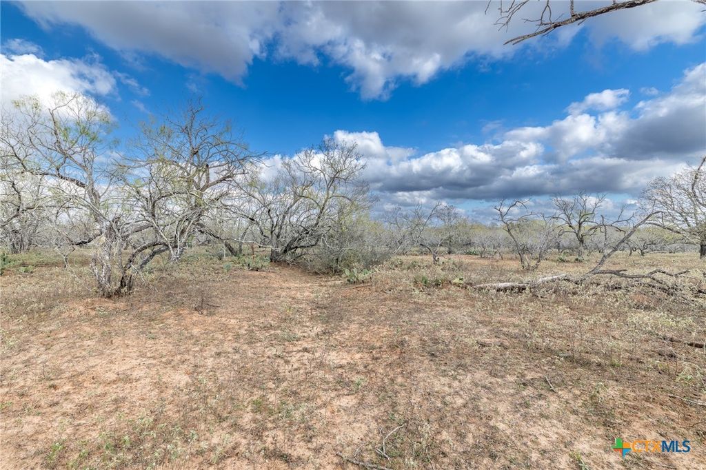 Image 24 of property listing at TBD County Road 113, Nixon, TX 78140